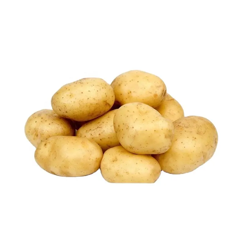 フライドポテト用の100% 輸出可能なバングラデシュの新鮮なジャガイモ