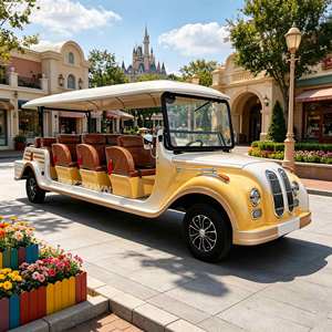 Voiture électrique de tourisme rétro vintage à 4 roues, facile à utiliser, avec couleur personnalisée pour les zoos et les jardins botaniques - Product Image 1