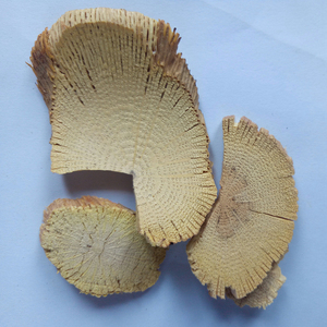 Rodajas de Tallo de <span class=keywords><strong>Akebia</strong></span> (Chuan Mu Tong), Rodajas de Tallo de Clematis Armandii, Secas Naturalmente, con 1 Año de Vida Útil, de Bozhou, China, para Uso Herbal - Product Image 2