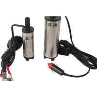 Pompa Ekstraktor Oli 12V Elektrik Diesel 24V DC Dispenser Bahan Bakar Pompa Hisap Oli Submersible Kecil OEM Industri Otomotif