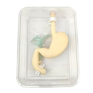Simulateur de système gastroduodénal et biliaire pour l'enseignement de la science médicale, modèle de formation à l'opération gastroscopique, modèle de formation ERCP - Product Image 1