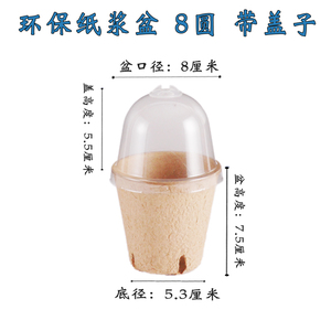 <span class=keywords><strong>Pot</strong></span> de semis de plantes biodégradable pots de pépinière carrés arrondis réutilisables avec ou sans drainage avec couvercle transparent en plastique - Product Image 5