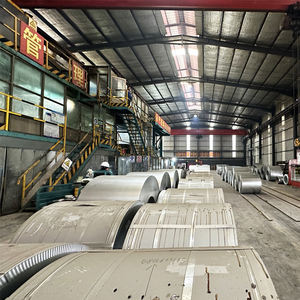 来自专业制造商的镀锌钢/EG/EGI卷材/热浸镀锌钢卷材 - Product Image 5