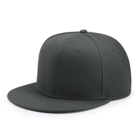 Casquette Snapback Hip-Hop Streetwear OEM ODM à Six Panneaux, Rigide, à Bord Plat, Bicolore, Multicolore, Vierge, Personnalisable avec Broderie ou Impression de Logo