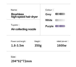 Top Fashion Professional Protección contra fugas BLDC Negativo Iónico 110000 Rpm Super <span class=keywords><strong>Shark</strong></span> <span class=keywords><strong>Secador</strong></span> de pelo - Product Image 2