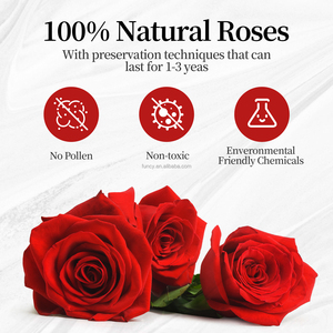 Infini immortel éternel pour toujours stabilisé roses conservées dans une boîte en coeur pour la Saint-Valentin cadeau d'anniversaire de la fête des pères des mères - Product Image 5