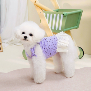 Nuevo Vestido para Gatos, Ropa para Mascotas, Vestido de Tul con Encaje para Perros, Ropa Floral para Perros de Diseño - Product Image 2