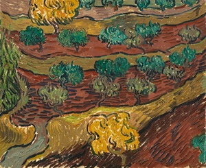 Vincent Van gogh's Olive Trees On A Slope in phong cảnh ấn tượng trên vải với Khung in kỹ thuật số thân thiện với môi trường - Product Image 6