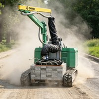 Promotion : Transporteur à vide automoteur sur chenilles 1 tonne, 9,6 kW, diesel, pour le levage de briques