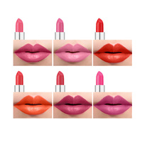 Logo personnalisé Private Label Colors High Pigment Non Sticky Waterproof Long Lasting Velvet Matte Makeup Bullet Lipstick