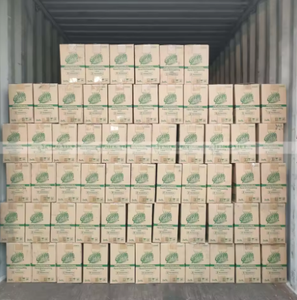 Liquide vaisselle Sunlight Matcha 750gr x 15 Fabriqué au Vietnam Formule pratique pour un usage quotidien - Product Image 5