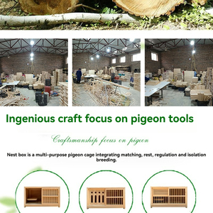 Jaula de Madera de Alta Calidad para Palomas Mensajeras, Directo de Fábrica, con Nidos y Accesorios para Cría y Transporte de Palomas de Competición - Product Image 3