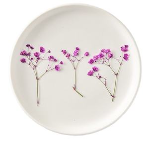 Gypsophila <span class=keywords><strong>Paniculata</strong></span> con Ramas, Manualidades DIY, Planta Natural Ecológica, Flor Prensada Real - Product Image 1