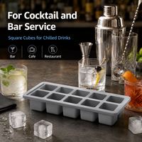 Molde de silicona para hielo de 10 cavidades para café, jugo, té, servicio de bebidas frías en bares - Colección de temporada