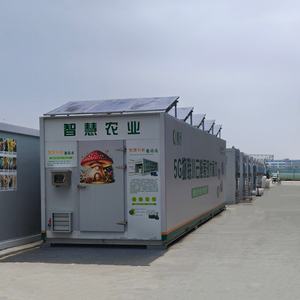 Camera di crescita intelligente per il fungo Edodes <span class=keywords><strong>Pleurotus</strong></span> Geesteranus Shiitake - Product Image 5