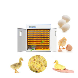Incubadora de Huevos de Pollo Multifuncional de Gran Tamaño, Nuevo Estilo, Hecha en China - Product Image 2