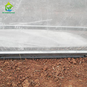 Invernadero de túnel agrícola, invernadero de <span class=keywords><strong>caracol</strong></span>, comercial, Ghana - Product Image 5