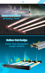 Longood แท่งไฟ LED เติบโต320W 400W สเปกตรัมเต็มสเปกตรัมสำหรับพืชในร่ม Lm301h LM301b ของซัมซุง - Product Image 5