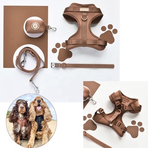 Arnés de perro de lujo de diseñador personalizado ajustable acolchado con capa de aire juego de arnés de perro de neopreno con correa y collar de PVC - Product Image 2