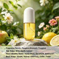Spray Parfumé Capillaire Marque Blanche avec Essence, Brume Capillaire Nourrissante Sans Alcool, Parfum Capillaire Sans Rinçage pour Cheveux Légers et Soyeux