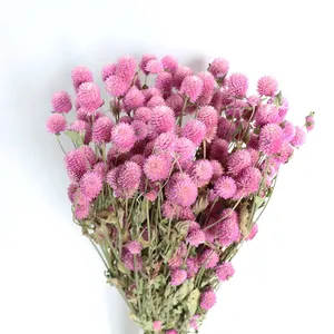 Vente en gros d'usine de fleurs séchées d'amarante rose et blanche, bouquet de fleurs séchées pour la décoration de la maison, bouquet de fleurs séchées DIY - Product Image 5