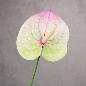 Sutra buatan putih Anthurium cabang tunggal buatan tangan tahan lama 3-5 tahun pengaturan Dekorasi Rumah & pernikahan