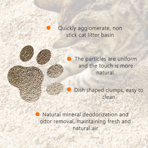 Lettiera per Gatti Premium in Bentonite Biodegradabile Naturale Agglomerante Deodorante e Assorbente 1kg per Facile Pulizia - Product Image 3