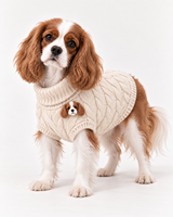 Pulls anti-boulochage pour chiens OEM, vêtements en tricot de luxe assortis pour humains et animaux, qualité sur mesure