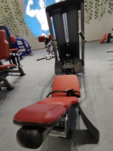 商用ジムフィットネスグルート機器新しいグルートブリッジマシンピンロード付きセレクション卸売り工場価格 - Product Image 3