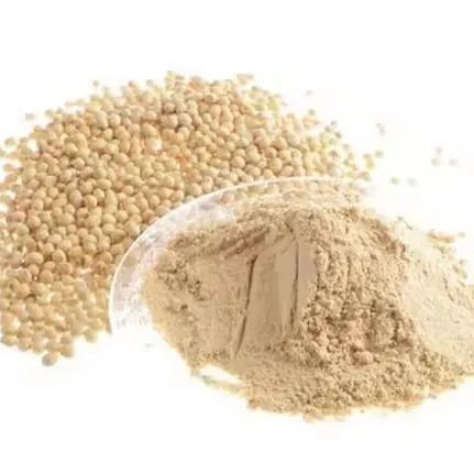 High Purity Food Additive Organic Organic Soybean Extract Soya Soybean Lecithin Powder