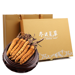 Extrait de Cordyceps militaris du Tibet Tianshi Cordyceps en poudre produit naturel Cordyceps sinensis - Product Image 4
