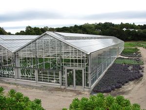 Architecture personnalisée Serre de grande portée Bâtiment de centre de jardinage Projets agricoles Recherche sur la plantation de légumes et de fleurs - Product Image 4