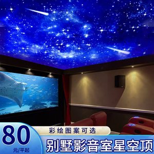 Starry Sky <b>Ceiling</b> <b>Light</b> Led Fiber Optic Recessed Remote Control For Bedroom Living Room <b>Bar</b> Restaurant Club - Product Image 2