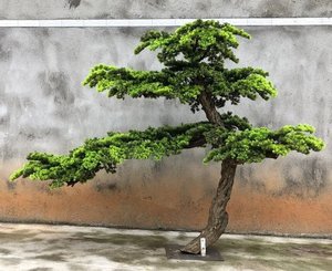 Petite plante artificielle géante, ornements de <span class=keywords><strong>jardin</strong></span>, cèdre vert, topiaire, grand arbre, pin artificiel vert <span class=keywords><strong>pour</strong></span> la <span class=keywords><strong>d</strong></span>écoration de <span class=keywords><strong>jardin</strong></span> - Product Image 6
