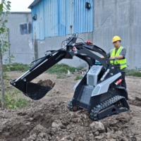 SPEDIZIONE GRATUITA Cartiwell Euro 5 EPA CE Diesel Skid Steer Mini Pala Cingolata Trincia Forestale Rasaerba