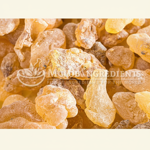 Extracto Premium de Boswellia Carterii, Soporte Herbal Natural para el Bienestar Diario - Product Image 1