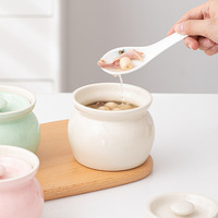 Style japonais Mini marmite à ragoût en porcelaine épaissie anti-déflagrant bol à vapeur à couvercle écologique résistant à la chaleur Japandi Design