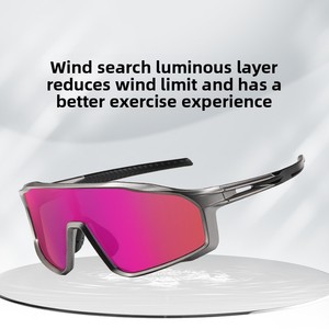 Venta caliente <span class=keywords><strong>WD</strong></span> S17101 TR90 Gafas de sol deportivas Moda al aire libre Protección UV TAC Gafas polarizadas para miopía Logotipo personalizado - Product Image 2