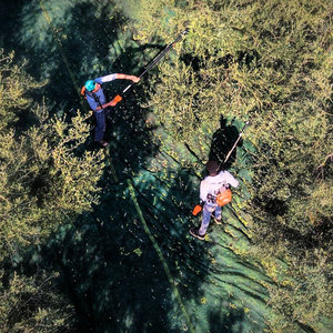 Tùy chỉnh HDPE Hexagon cát màu ô liu Bộ sưu tập net với ô liu miễn phí chọn Rake - Product Image 4