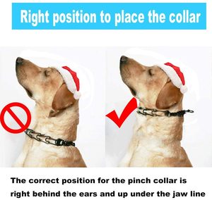 <span class=keywords><strong>Collar</strong></span> de entrenamiento de perro ajustable con puntas para perro, <span class=keywords><strong>Collar</strong></span> de estrangulación para mascotas con puntas de goma cómodas