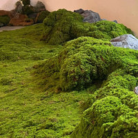 Tapis de fleurs artificielles de haute qualité Tapis de mousse artificielle Panneaux carrés de mousse réalistes artificiels Type de plante de mur d'herbe en plastique