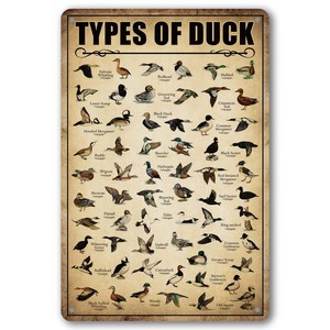 Plaque en métal en forme de canard, décoration vintage personnalisée pour la <span class=keywords><strong>chasse</strong></span>, décoration murale pour la maison, la cuisine, la salle de bain, affiche décorative de canard, 8 x 12 pouces - Product Image 1