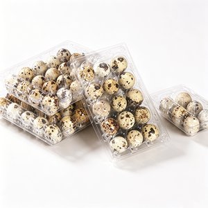 Barquettes à œufs <span class=keywords><strong>en</strong></span> plastique transparent, capacité pour œufs de caille, design empilable pour un stockage et un transport sécurisés pour les fermes, les épiceries et l'usage domestique - Product Image 6