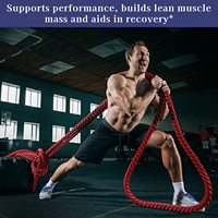 Créatine monohydrate en poudre de haute qualité pour l'entraînement avant et après les séances, pure et sans arôme, favorise le développement de la masse musculaire maigre