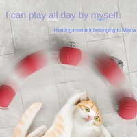 Balle de jeu automatique résistante aux morsures pour chat, jouet interactif avec corde pour l'auto-amusement et le soulagement du stress, fournitures pour animaux de compagnie, balle rebondissante, jouet pour animaux.