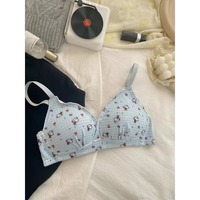 사용자 정의 여성 브래지어 JCXYD # 하이 퀄리티 귀여운 여자 브래지어 편안한 와이어 무료 속옷 푸시 업 여자 브래지어