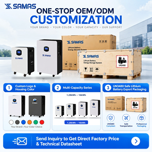 Système de stockage d'énergie domestique à batterie lithium 2,56 kWh 25,6 V 100 Ah LiFePO4 avec onduleur à onde sinusoïdale pure 3 kW et MPPT 500 V (ESS autonome) - Product Image 6