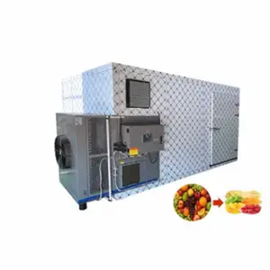 Industrial Hot Air Fruit and Vegetable Heat Pump Dryer 12 New Product Provided Energy Saving Drying Oven Steam Pump for Oven 500