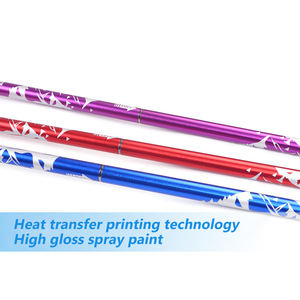 Bâtons de marche, bâtons de Trekking nordiques, bâtons télescopiques, bâtons de Trekking avec pointes - Product Image 3