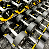 Haltères commerciaux en caoutchouc pour musculation, poids libres pour salle de sport à domicile, de 5 à 100 lb, haltères ronds